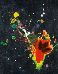 Renzo Nucara, Resinfilm135, 2005, Sul verso: firma