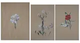 Fiori by Valentino Ghiglia, lotto composto da tre opere: A) Garofani bianchi mixed media on paper, offered Sep 2013