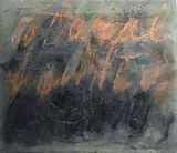 Mario Fallani, Lettere