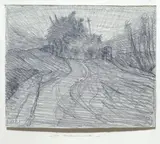 Adriano Baracchini Caputi, In Maremma, pencil on paper
