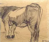 Mario Puccini, Mucca
