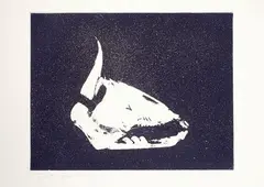 Skull by Giuseppe Zigaina, offered Sep 2013