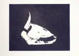 Giuseppe Zigaina, Skull