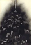 Warren Knight, Senza titolo, 1973