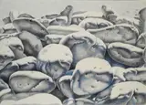 Pasquale Verrusio, Sassi, 1979