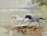 Giulio Falzoni, Cavalli al galoppo