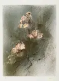 Giuseppe Ajmone, Rose