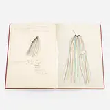 The Picture of Dorian Gray. A Working Script for the Stage from a Novel by Oscar Wilde., London: Petersburgh Press-1968. by Jim Dine, 1968, twelve lithographs in colors with mixed media on Velin Arches in bound book, sold Oct 2022