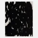 Donald Sultan, Morning Glories II, 1991, etching and aquatint