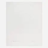 How to Disappear Completely (from the In a Spin, the Action of the World on Things, Volume II portfolio) by Damien Hirst, 2002, etching on Hahnemühle, sold Oct 2022