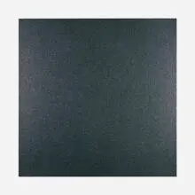 Olivier Mosset, Untitled, 2007, polyurethane on canvas