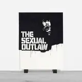 Gardar Eide Einarsson, The Sexual Outlaw, 2006, acrylic on canvas, painted wood blocks