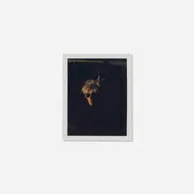 Self-portrait (Fright Wig) by Andy Warhol, 1982, Polaroid Polacolor print, sold Sep 2016
