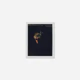 Self-portrait (Fright Wig) by Andy Warhol, 1982, Polaroid Polacolor print, sold Sep 2016