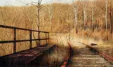 Charles Pitcher, Title: Mine Rail at Library, Medium: color