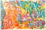 Nancy Graves, To Be Little Consciousness, 1991, color soft-ground