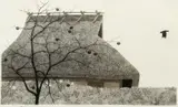 Ryohei Tanaka, Crow No. 3, 1988, etching with aquatint