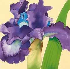 Iris by Gary Bukovnik, 1998, lithograph printed in colors, pencil, offered Nov 2021