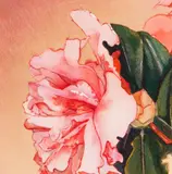 Gary Bukovnik, Begonia