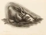 Marion Greenwood, Yak