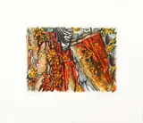Catherine Kernan, Sea Cleft #1, 1998, soft ground, etching and aquatint in color, pencil