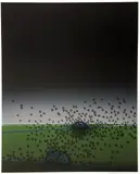 David Manzur, Requiem Para Un Paisaje Amazónico