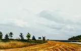 Raymond DeFazio, Country Road, 1982, watercolor