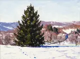 Charles Bud Gibbons, At The Park, Northmoreland Park, 2014, plein air