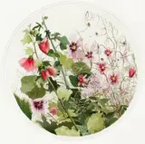 Michael Strueber, Medallion of Summer Flowers, 1991, watercolor, 18 inches in diameter, rondo