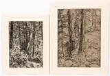 Andrey Avinoff, Untitled (Interior drawings of Cooks Forest, Pennsylvania), circa 1930s, pair of