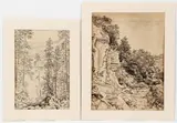 Andrey Avinoff, Untitled (Interior drawings of Cooks Forest, Pennsylvania), circa 1930s, pair of