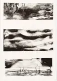 Richard Florsheim, Variations of a Seashore