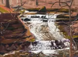 Charles Bud Gibbons, The Giveaway Waterfall