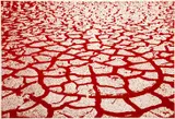 Menashe Kadishman, Red Cracked Earth, c. 1979, etching with aquatint on Guarro paper