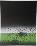 David Manzur, Requiem Para Un Paisaje Amazónico