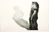 Michael Mazur, Diptych The Artist