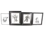 Untitled by Native American Warriors, ink drawings (4), offered Mar 2023