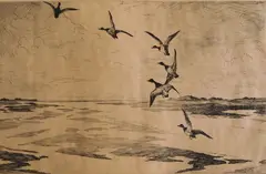 Frank Benson, - ''Wide Marshes'' (Paff 173)-, etching, 1920, sgined in pencil
