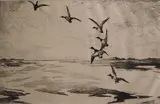 Frank Benson, - ''Wide Marshes'' (Paff 173)-, etching, 1920, sgined in pencil
