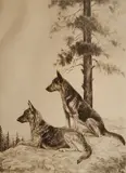 Marguerite Kirmse, - 'Vigilantes''-, etching