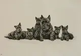 Marguerite Kirmse, - ''The Rising Generation''-, etching