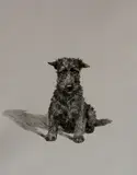 Marguerite Kirmse, - ''So Bad''-, etching
