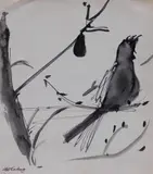 Joseph B. O'Sickey, - ''Bird on Branch''-, ink wash on paper