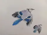 Joseph B. O'Sickey, - ''Two Blue Jays''-