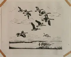 Alfred James Wands, - ''Honkers''-, lithograph