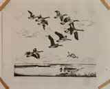Alfred James Wands, - ''Honkers''-, lithograph