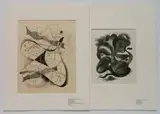 Medard Klein, - ''