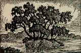 - ''The Willow Pond'' (Greenough 64)- by Birger Sandzén, linocut, 1930, offered Feb 2019