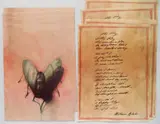 Sidney Goodman, - ''The Fly''- off-set, lithograph in color, 1993, 5 prints of the