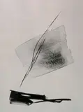 Toko Shinoda, - ''Arrived Wind''-